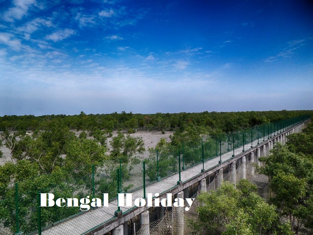 Dobanki Watch Tower Sundarbans