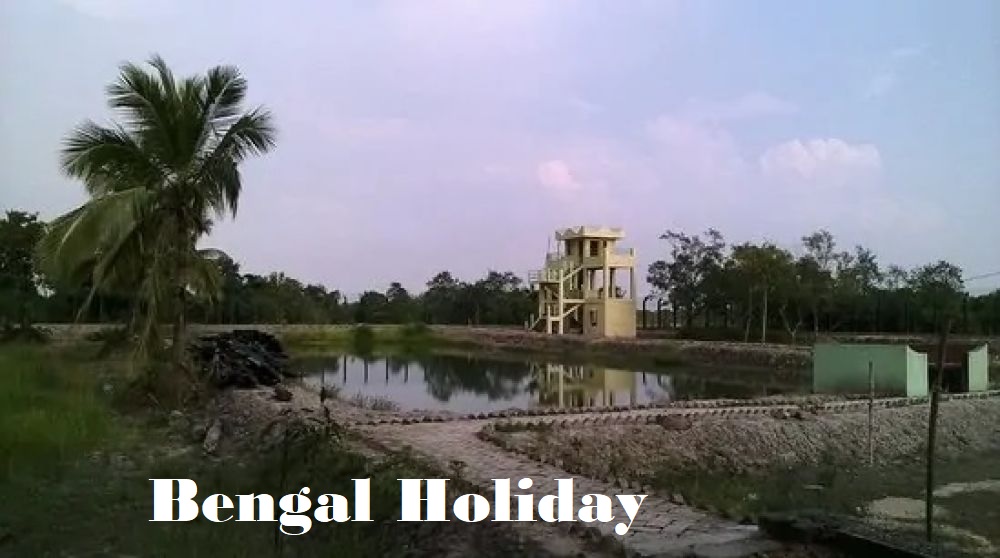 Netidhopani Watch Tower Sundarbans