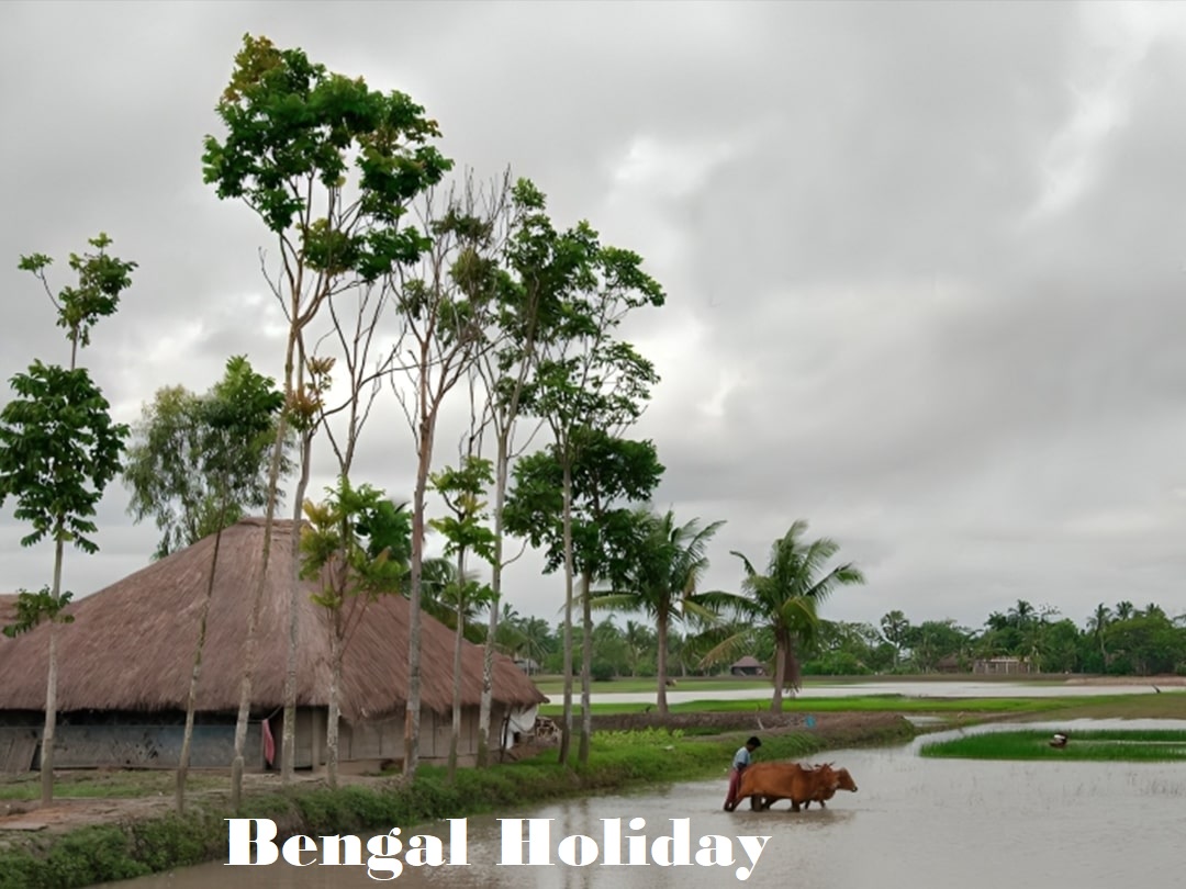 Pakhiralaya Village Sundarbans
