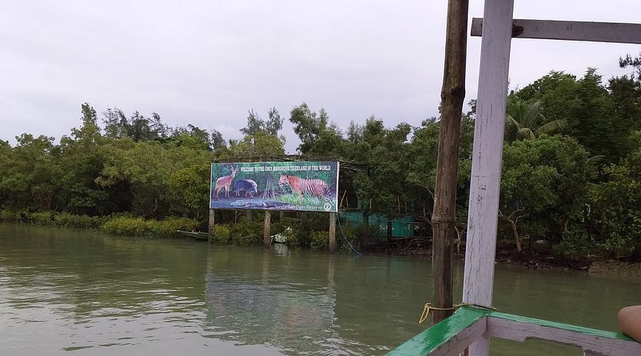 Sajnekhali Bird Sanctuary Sundarbans