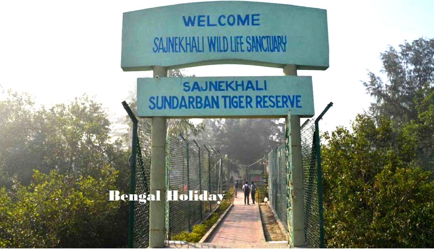 Sajnekhali Wildlife Sanctuary Sundarbans